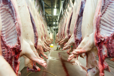 Brazilian pork exports start 2015 lower