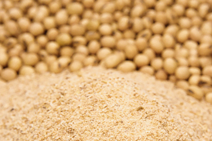 Soy: Health Benefits and Dosage