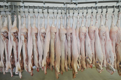 Slaughtered pigs hang at a meat processing plant in Veliky Novgorod. [Photo: ANP]