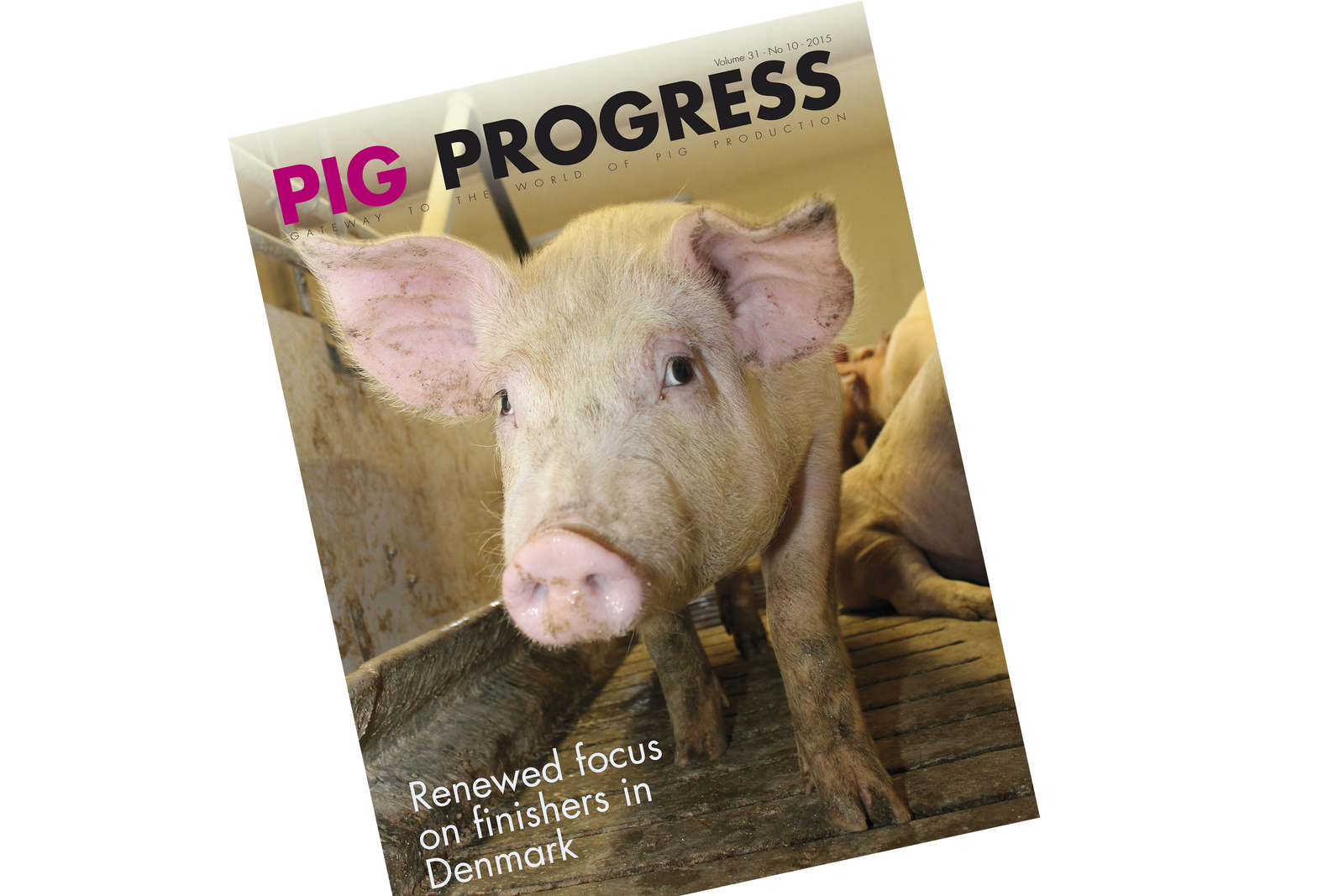 Pig Progress 10 Health Diseases Lead The Focus Pig Progress   001 7 Rb Image 2732263 