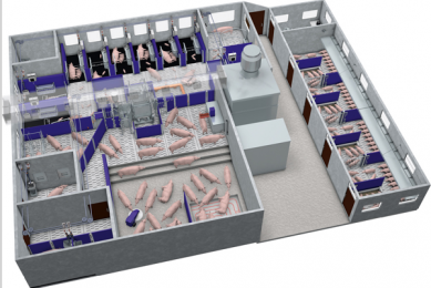 Pig Production 2030   this model has been the basis for the EuroTier presentation as well as the Ahlers production site (see next page). Gestation can be found at the bottom, breeding at the top end, insemination to the left and growing to the right.