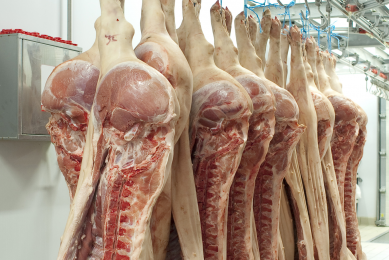 Russia lifts pork carcass ban on Ukraine facility