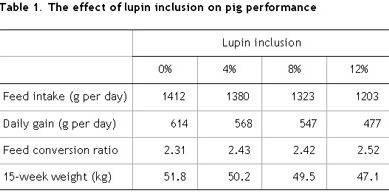 AFBI study the use of lupins in diets for pigs