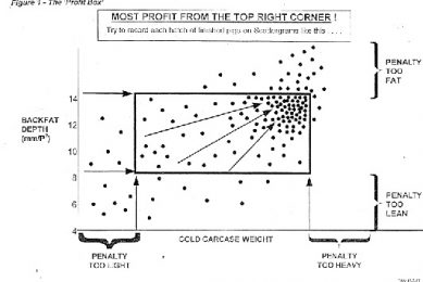 Managing Variation at Slaughter by using a ‘Profit Box’