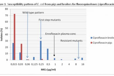 Antibiotic arguments