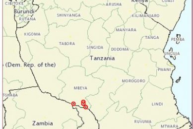 More African Swine Fever outbreaks in southern Tanzania