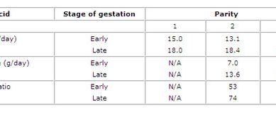 New amino acid requirements for gestation sows