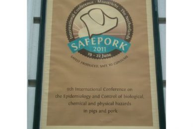 SAFEPORK 2011: The Netherlands