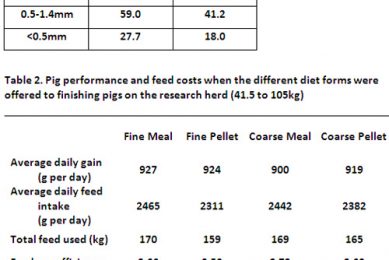 Feed in meal or pellet form for pigs