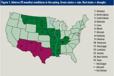 High feed prices remain worrisome for US producers