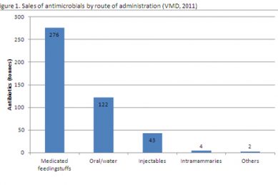 Conflicts of interest – should vets dispense medicines?