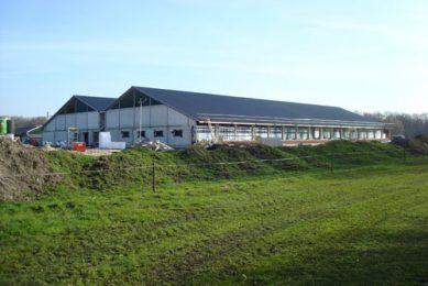 Dutch to open three layer breeding sow house