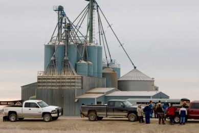 Feed costs push Canada’s Big Sky Farms pig farm into receivership