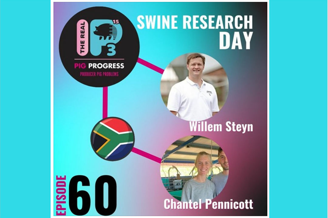 podcast-inaugural-swine-research-day-in-south-africa-pig-progress