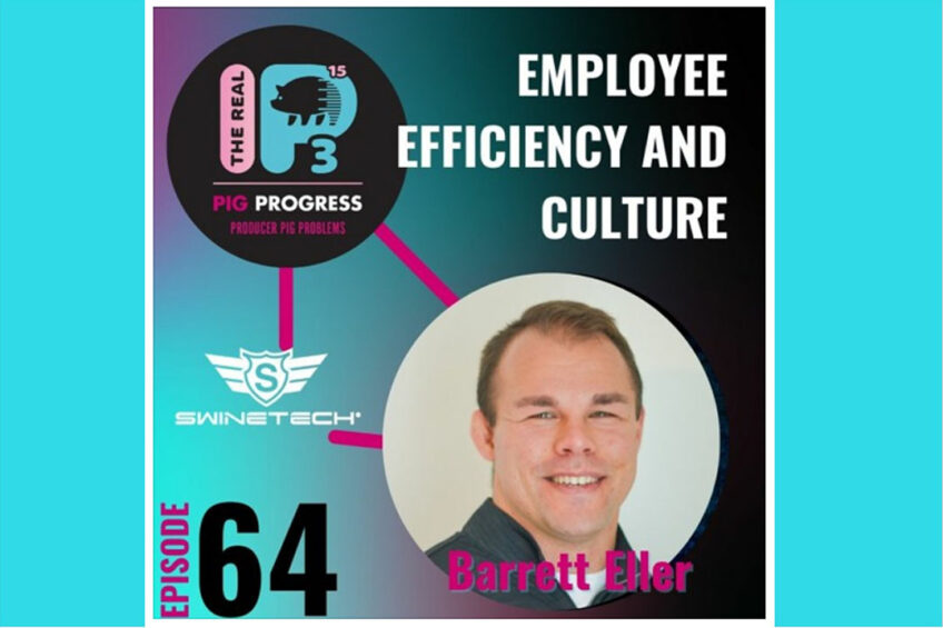 Podcast: Employee efficiency and culture