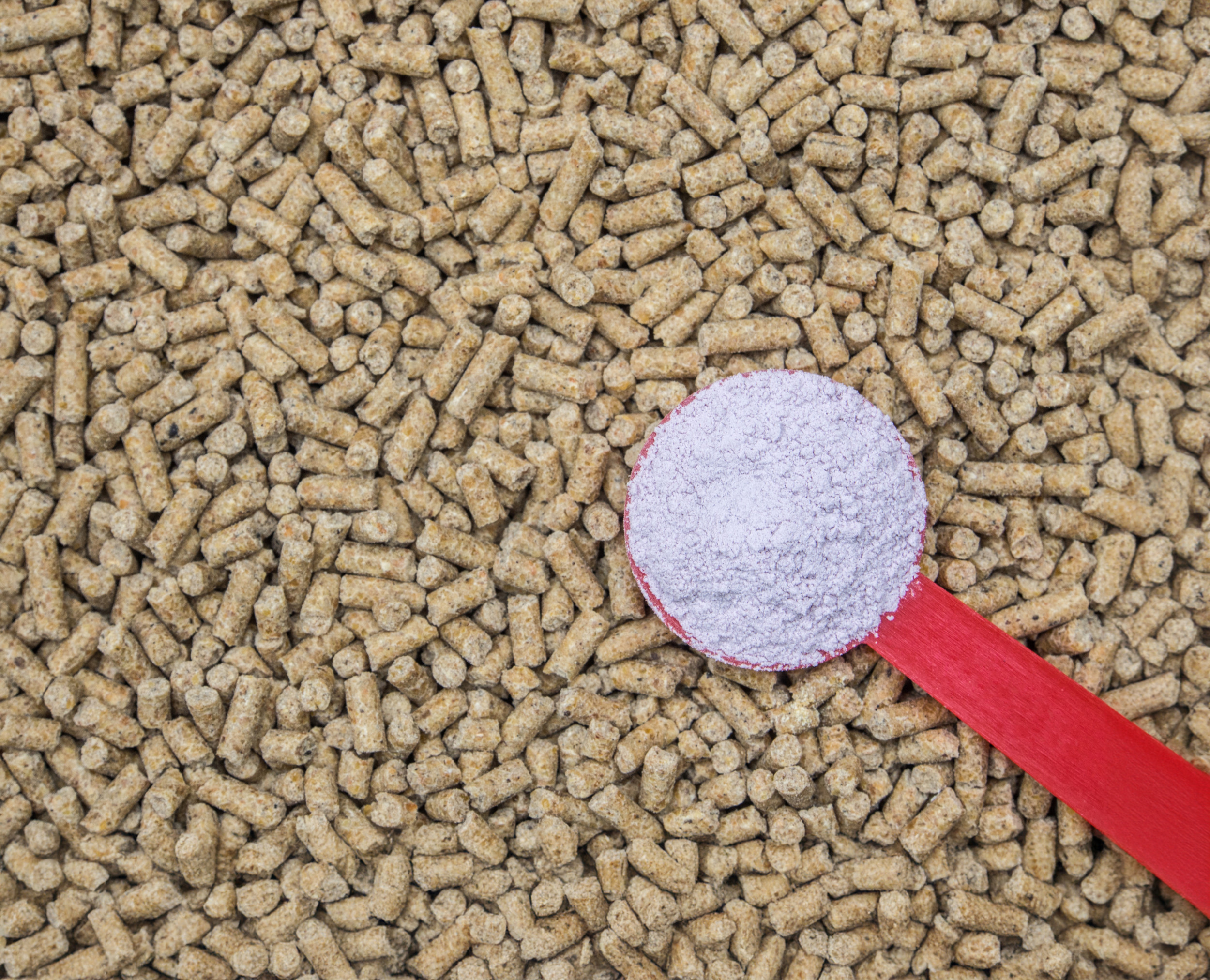 Top-10 feed additives to improve gut health