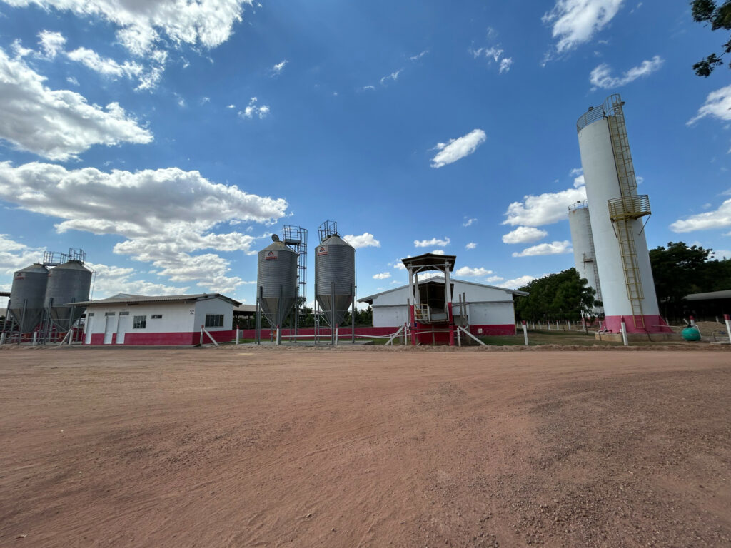 The pig farm Fazenda Mano Julio in Lucas do Verde in Mato Grosso state.