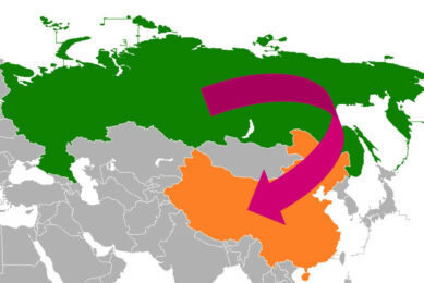 The plan to ship large amounts of pork from Russia to China isn’t perhaps as easy as projected. Illustration: Wikipedia & Pig Progress