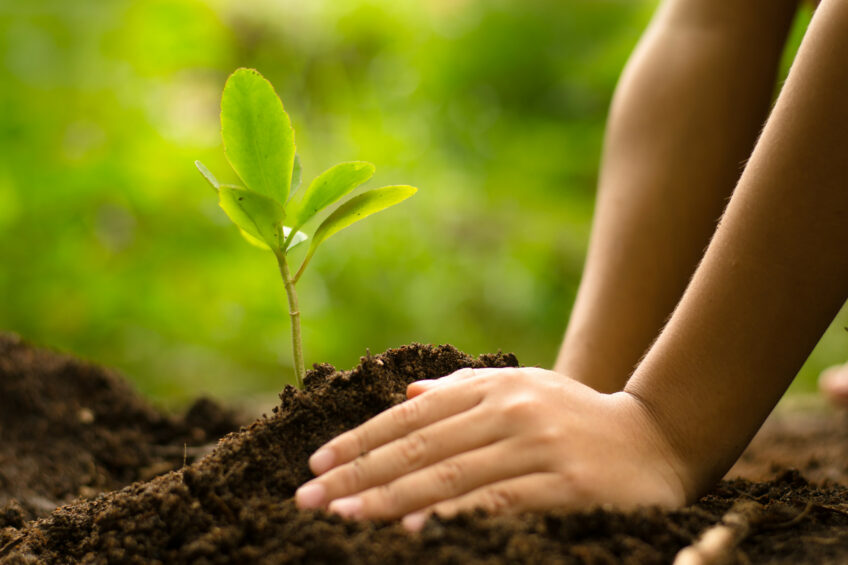 Close up Kid hand planting young tree over green background. Photo Singkham