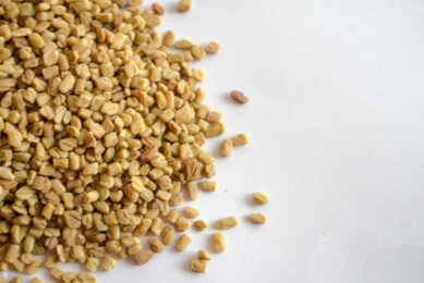 Fenugreek seeds contain various bioactive compounds, such as alkaloids, and polyphenols, that can exert antioxidant and anti-inflammatory effects. Photo: Canva