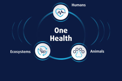 Comprehensive and effective sanitary strategies: Key to changing the course of AMR