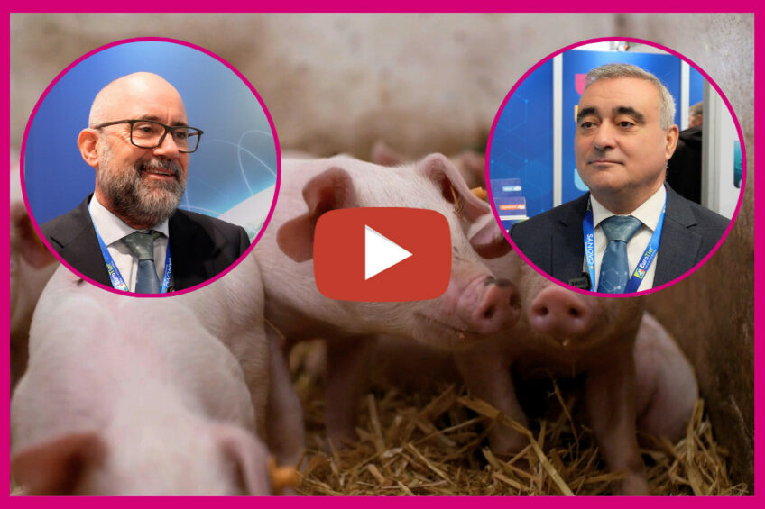 APC functional proteins: Tackling post-zinc ban challenges in pig ...