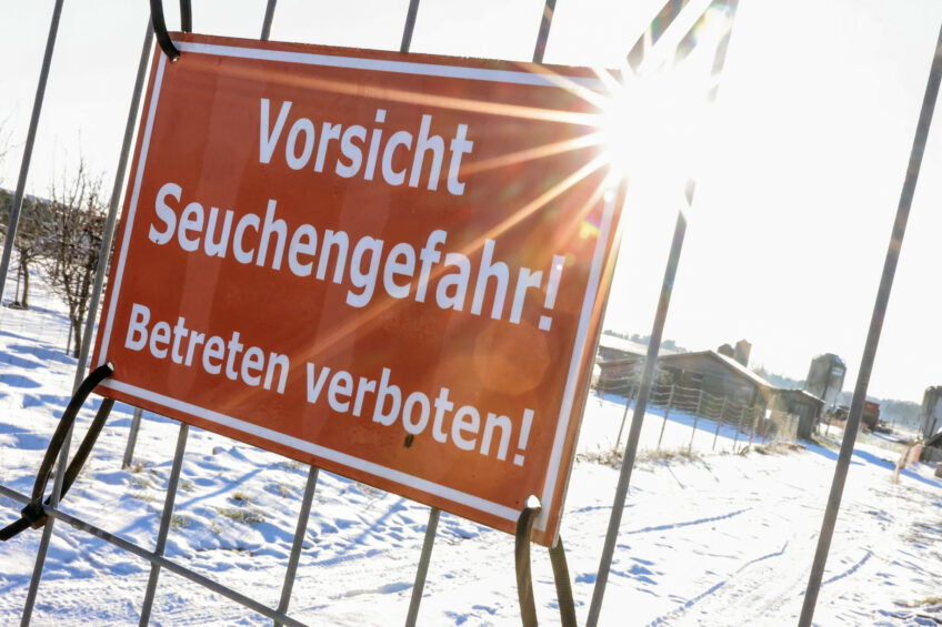 A sign reading 'Beware, danger of epidemic! No entry allowed!' hangs on a fence at a farm in the Mehrow district, Arensfelde municipality, Germany, 13 January 2025. German authorities reported an outbreak of the foot-and-mouth disease (FMD), detected on a farm in the state of Brandenburg near Berlin, marking the first such cases in the country since 1988. Foto: EPA