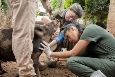 Sanitary surveillance in Tocantins. Photo - Tocantins State