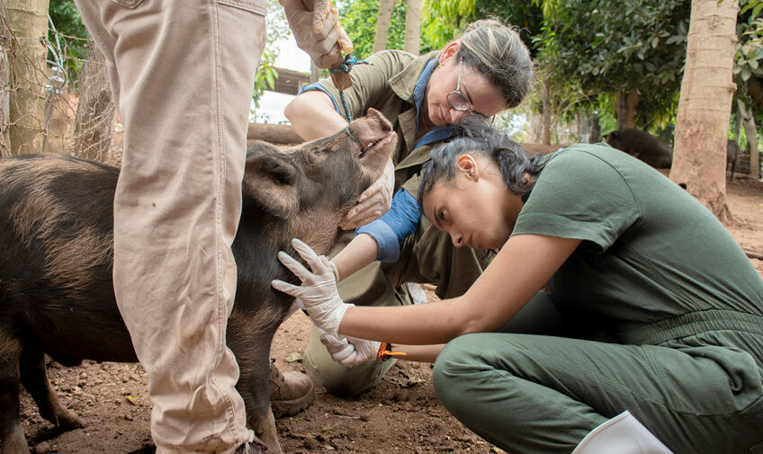 Sanitary surveillance in Tocantins. Photo - Tocantins State