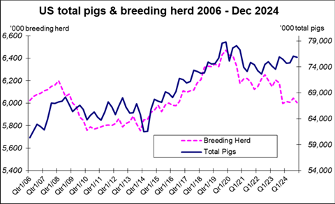 Figure 2: The pigs and breeding herd from 2006 until the end of 2024.