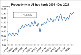 Figure 3: Rising productivity in US hog herds in the past 20 years.