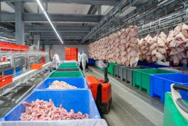 China is researching potential pork dumping, but so far hasn’t announced any action. Photo: Jan-Willem Schouten